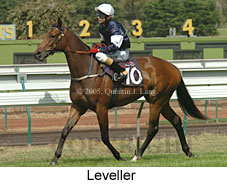 Leveller (14872 bytes)