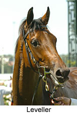 Leveller (14872 bytes)