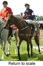 Return to scale (15361 bytes)