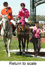 Return to scale (15361 bytes)