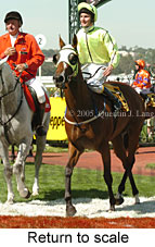 Return to scale (15361 bytes)