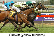 Skewiff (14872 bytes)