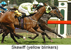 Skewiff (14872 bytes)