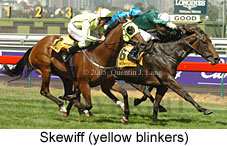 Skewiff (14872 bytes)