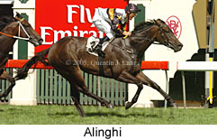 Alinghi (14872 bytes)