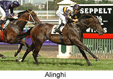 Alinghi (14872 bytes)