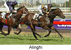 Alinghi (14872 bytes)