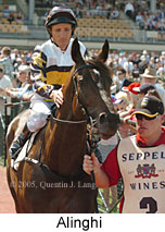 Alinghi (14872 bytes)