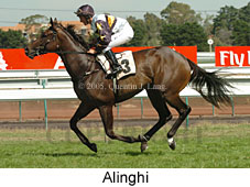 Alinghi (14872 bytes)