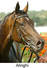 Alinghi (14872 bytes)