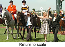 Return to scale (15361 bytes)