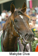 Makybe Diva (14872 bytes)
