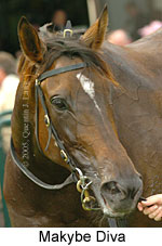 Makybe Diva (14872 bytes)