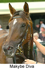 Makybe Diva (14872 bytes)
