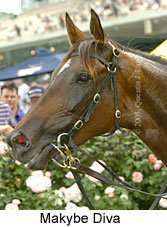 Makybe Diva (14872 bytes)