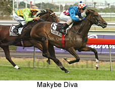 Makybe Diva (14872 bytes)