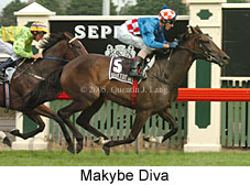 Makybe Diva (14872 bytes)