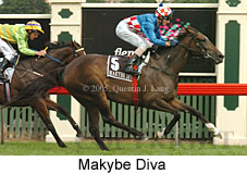 Makybe Diva (14872 bytes)