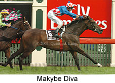 Makybe Diva (14872 bytes)