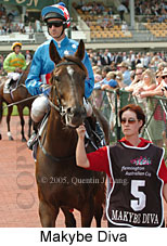 Makybe Diva (14872 bytes)