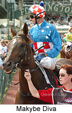 Makybe Diva (14872 bytes)