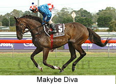 Makybe Diva (14872 bytes)
