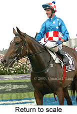 Return to scale (15361 bytes)