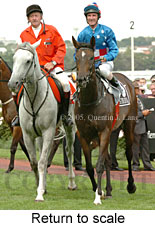 Return to scale (15361 bytes)