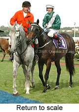 Return to scale (15361 bytes)