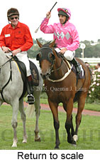 Return to scale (15361 bytes)