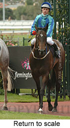 Return to scale (15492 bytes)