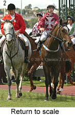 Return to scale (16047 bytes)