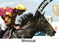 Mimzical (15458 bytes)