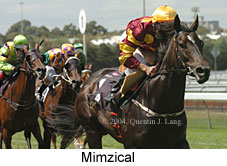 Mimzical (15551 bytes)