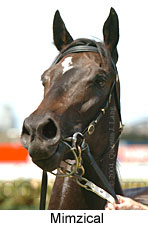 Mimzical (10240 bytes)