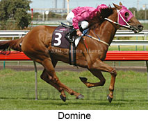 Domine (16297 bytes)