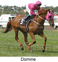 Domine (15417 bytes)