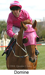 Domine (12799 bytes)