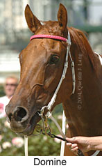 Domine (12407 bytes)