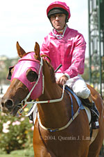 Return to scale (14393 bytes)