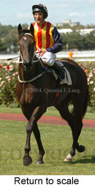 Return to scale (14297 bytes)