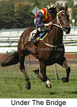 Under The Bridge (14901 bytes)