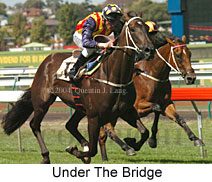 Under The Bridge (19278 bytes)