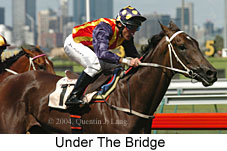 Under The Bridge (15105 bytes)