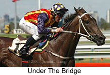 Under The Bridge (15464 bytes)