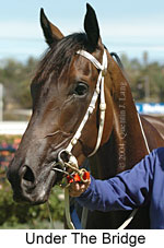 Under The Bridge (13242 bytes)