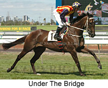 Under The Bridge (17100 bytes)