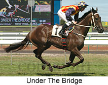 Under The Bridge (17043 bytes)