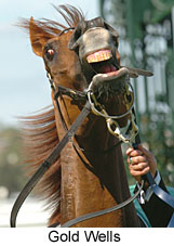 Gold Wells (13969 bytes)