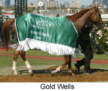 Gold Wells (15993 bytes)